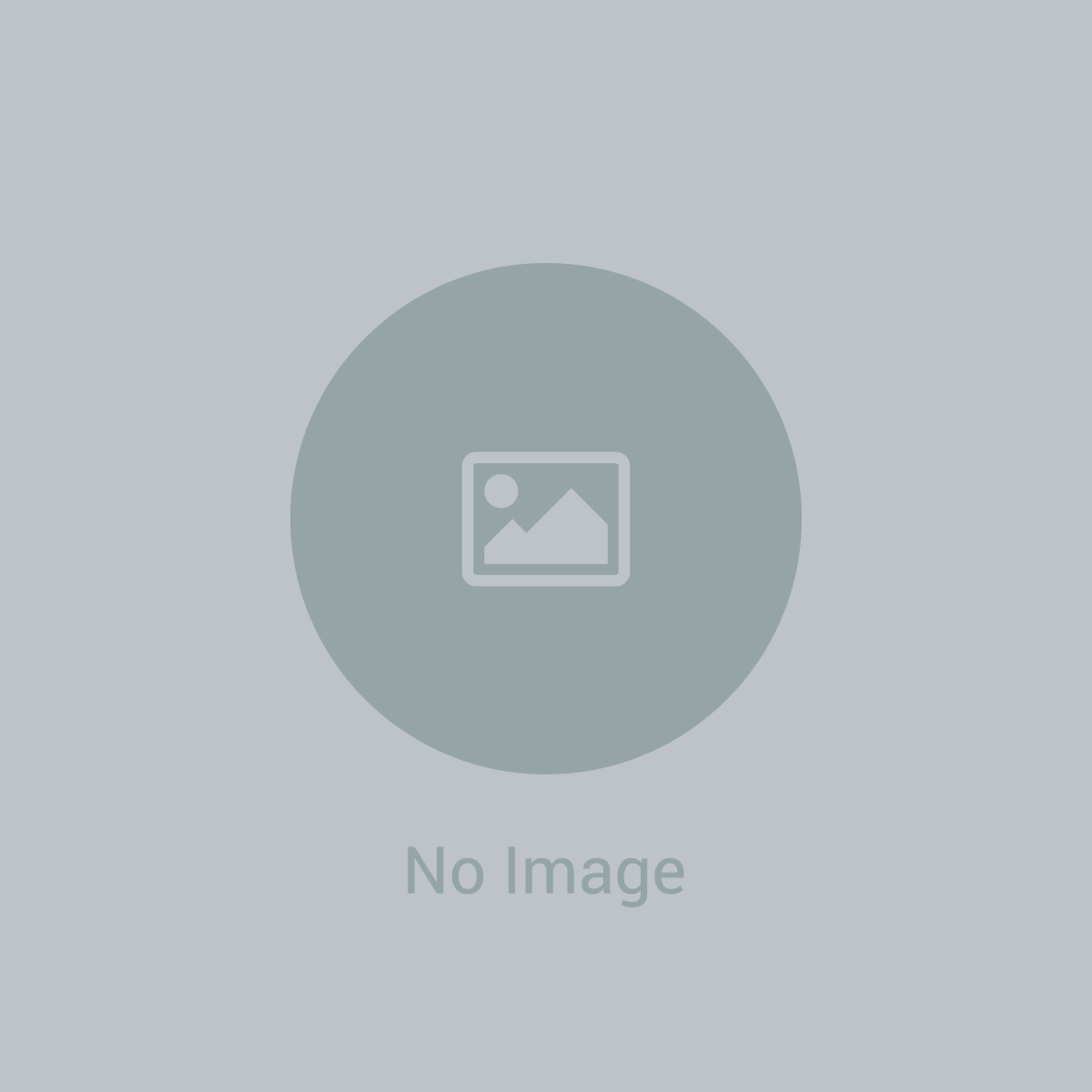 PADI Assistant Instructor